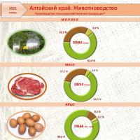 О сельском хозяйстве Алтайского края в январе 2021 года