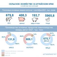О сельском хозяйстве Алтайского края в январе-августе 2021 года